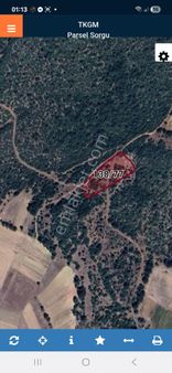 Gölpazarı Küçük Susuzda Resmi Yolu Olan Köye Çok Uzak Olmayan Güzel Bir Arazi Acil Satılık...