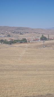 Ankara Gölbaşı Bezirhane Mah 20 Dönüm Tek Tapu Tarla Fı