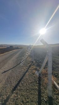 Ankara Gölbaşı Bağiçinde 5 Dönüm Etrafı Tel Örgüyle Çevrili Tarla