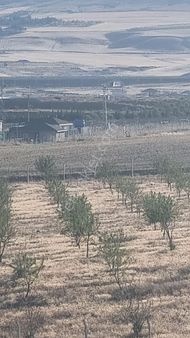 Ankara Gölbaşı Bağiçinde 2.290 Metre Satılık Arsa