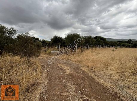 Philsa Caddesine Sıfır Satılık 3 Dönüm Tarla Tek Tapu