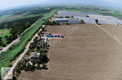 Aydın Nazilli İsabeylide Ticari İmar Sınırında Satılık Bahçe