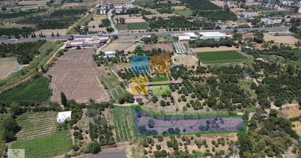 Aydın Sultanhisar Atça Mahallesinde 3362,97 M² Satılık Bahçe