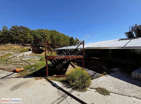 Döşemealtı Sınırı Kızılseki Köyünde Satılık Hayvan Besi Çiftliği