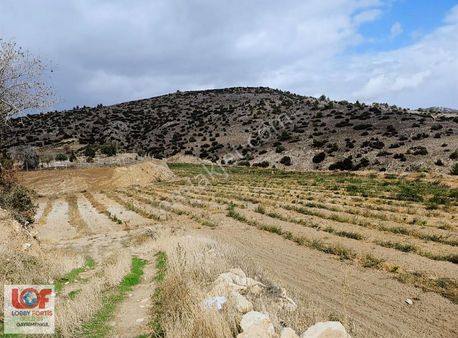 Lobby Fortis'ten Buldan Yenicekent' Te Satılık 15021 M2 Tarla