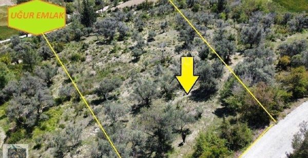 Muğla Seydikemer Söğütlüdere'de Köyiçi İmarlı Satılık Arazi.