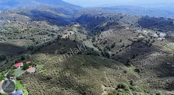 Sönmez'den Burhanettin Sınırı Eşsiz Manzaralı 21 Dönüm Arsa