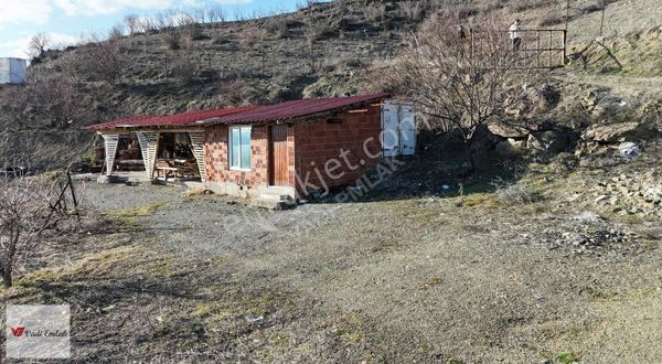 Vadi Emlak'tan Emirseyit De Satılık Projeli Bağ 14 Dönüm