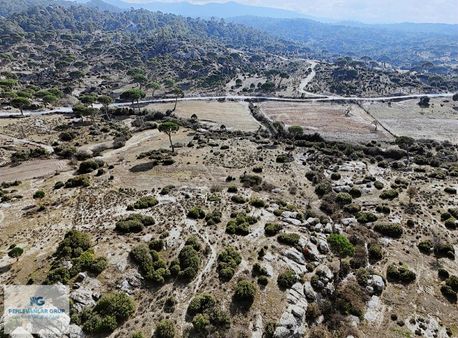 Acil Acil Acil Akkovanlık Mahallesinde Tarla Tapulu Fırsat Arazi