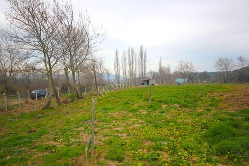 🔴🟥tek Yetkili Aktiften 6800 M2 120 Adet Ceviz Ağacı Olan Kadastrol Yolu Olan Satılık Bahçe 🟥🔴