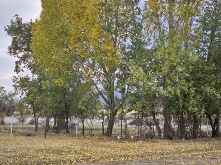 Seydişehir Merkeze Yaklaşık 1,5 Km Mesafede Satılık İmarlı Arsa