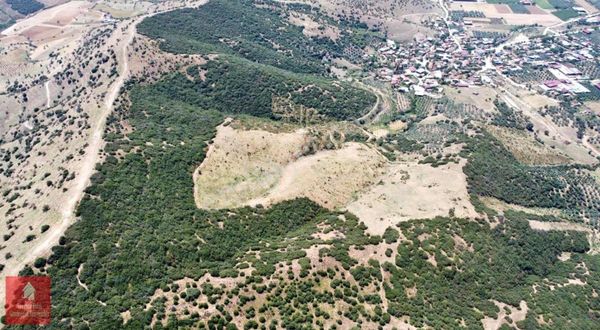 İzmir Tire De Satılık Marjinal Arazi