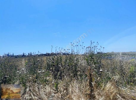 İstanbul Silivri Seymen Sahibinden Satılık 371m2