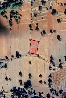 Mercan'dan Boğaziçi'nde Tek Tapu 765m2 "fırsat Tarla"