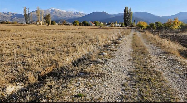 Mercan'dan Yayla Ceylan'da Tek Tapu 1.370m2 Tarla