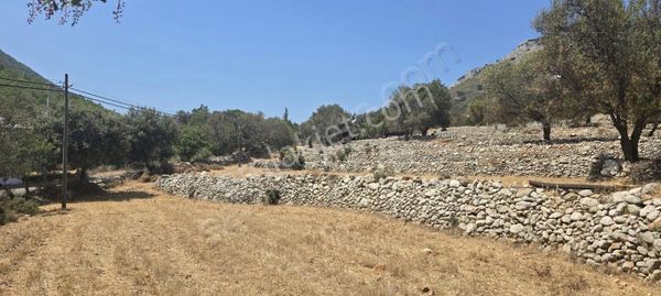 Seydikemer Boğaziçinde Köyiçi İmarlı Tek Tapu 3.060m2 Arsa