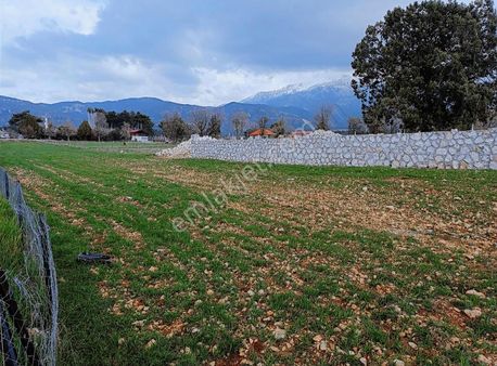 Mercan Gayrimenkul'den Bayır'da 2b Köyiçi İmarlı 1.440m2 Arsa