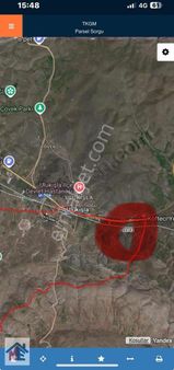 Yarı Ceviz Bahçesi Yarı Üzüm Bağı