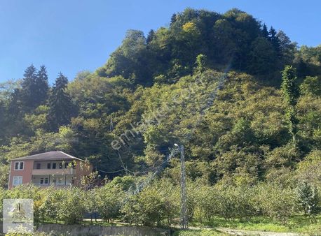 Şah Group Gayrimenkul Güvencesiyle Satılık Arazi