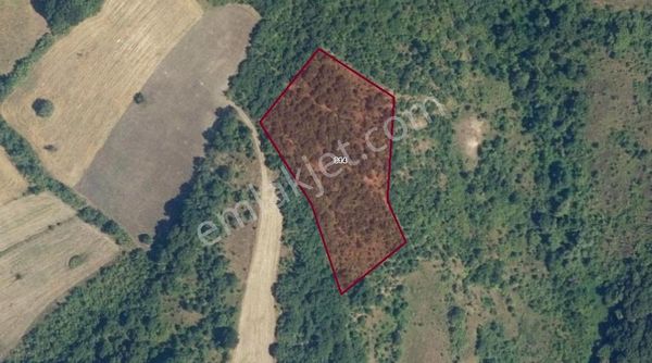 K2 Pera M.kemalpaşa Lütfiye Termal Turizm Projesi İçinde Arazi