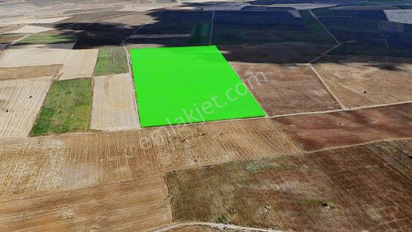 Bünyan'da 249000 M2 Tek Tapu Basınçlı Sulu Tarla