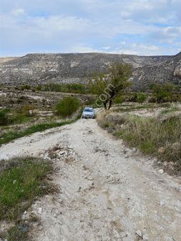 Karlık Ürgüp Bağ 223m2 Üzüm Çubugu Meyve Agaçları İçinde Görülü