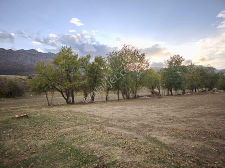 Seydişehir Merkeze Yaklaşık 1,5 Km Mesafede Satılık Köşe Parsel