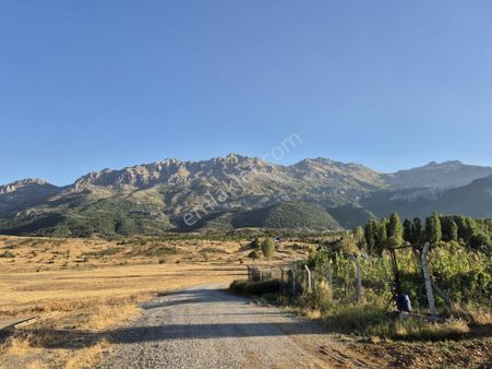 Seydişehir Merkeze Yaklaşık 1,5 Km Mesafede Satılık Köşe Parsel