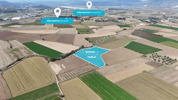 Bodrum Milas Ana Yoluna 700 Metre Satılık Tarla Suat Yaşar Emlaktan