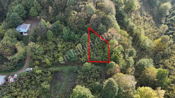 Ruşen Aydın Gyd' Dan Karaçalı Mahallesinde Satılık İmarlı Arsa