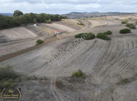 Kandıra Nefsiyadeş Köyünde Yatırımlık