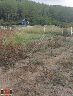 Tek Tapu,yola 2.parsel,elektrik Su Bitişiğinde