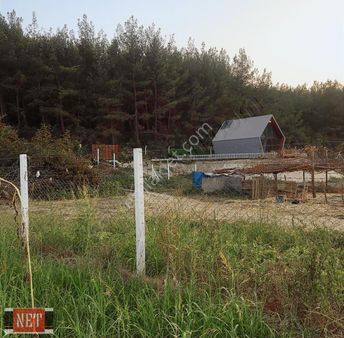 Fiyat Düştü!!!kadastro Yolu,suyu,elektrik Paneli Olan,tapulu