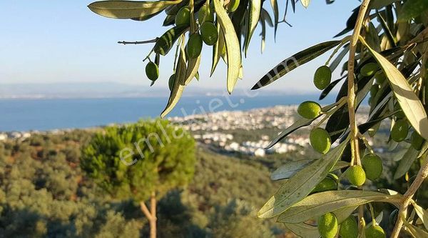 Hayatın Merkezine Keyfi Koyanlara Lüks Villalar