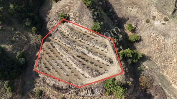 Tc Emlatkan Satılık 2300 M2 Hobi Bahçesi !