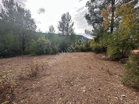 Antalya Akseki Akşahap Mahallesi Satılık Tek Tapu Tarla