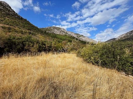 Antalya Akseki Akşahap Mahallesi Satılık Tek Tapu Tarla