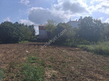 Çığır Emlak Bahçeler Mahallesinde Satılık Arsa 255 Metre İmarı 4 Kat Fırsatı Kaçırmayın