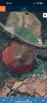 Balıkesir'de 53 Dönüm Tek Tapu Yatırımlık Fırsat Tarla