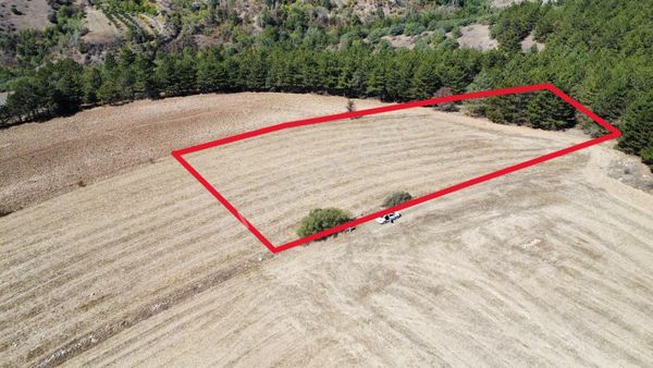 Çorum Merkez Turgut Köyünde Satılık Tarla