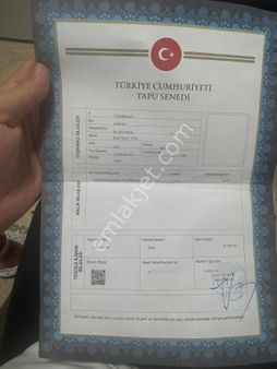Tekirdağ'da Saray İlçesinde Kurtdere Köyünde
