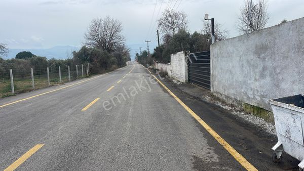 Aydın Nazilli Sultanhisar Satlık Çiftlik Evi