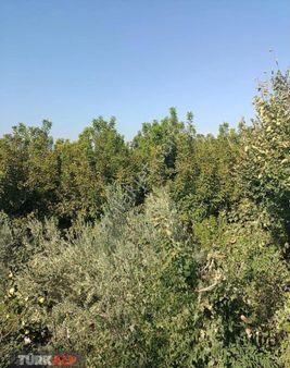 Denizli Honaz Kızılyerde Arsa