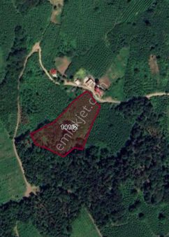 Mk Yatırım Dan Kayagüneyi Manzaralı Satılık Parsel