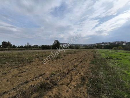 Camili De 3545 M2 İmar Sınırında Satılık Yatırımlık Tarla