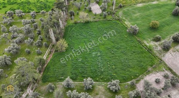 Fethiye Gayrimenkul Seydikemer Çayanda 3.792 M² Müstakil Tapulu