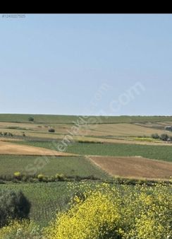Çatalca Yatırımlık Tarla