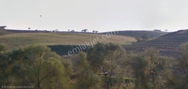 Tekirdağ Çorlu Şahpaz Satılık 3 Dönüm Tarla