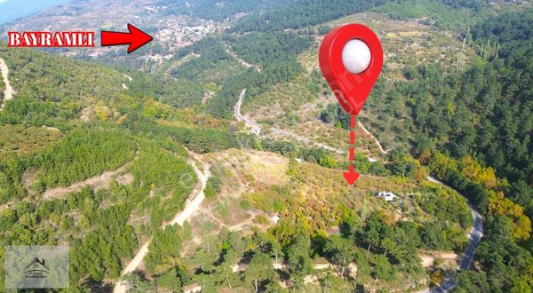 Kemalpaşa Bayramlı'da Satılık Kiraz Bahçesi