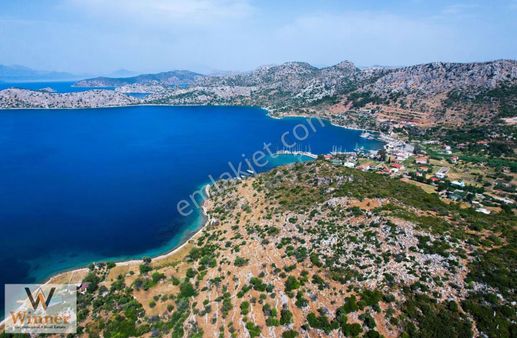 Winner- Söğüt'ün En Güzel Koyunda+denize Sadece 70m+fırsat Tarla